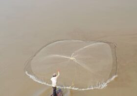 Die größten Brücken auf der Welt